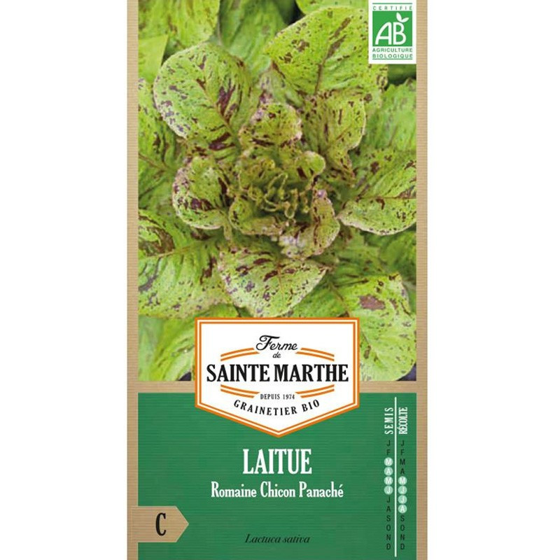 Laitue Chicon Romaine Panache Graines La Ferme Sainte Marthe