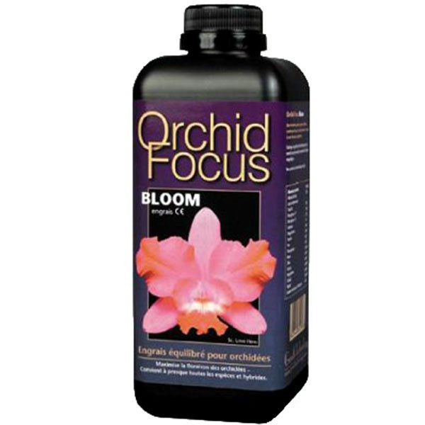 GWT ORCHID FOCUS BLOOM 300ML