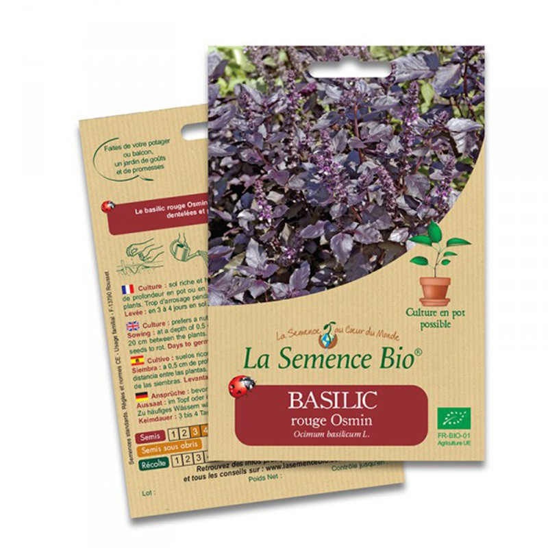 Organic Seeds Basil Rouge Osmin