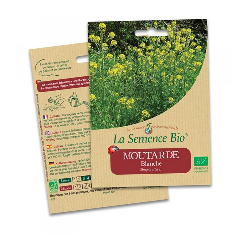 Organic Seeds - White Mustard