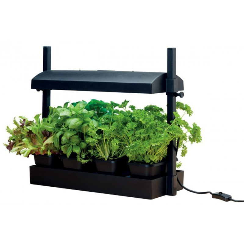 MICRO BLACK GARDEN WITH 11W LAMP