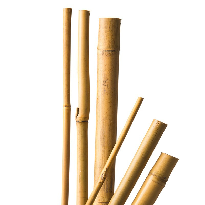 7 NATURAL QUALITY BAMBOO STAKES - H90 X Ø8-10MM CIS