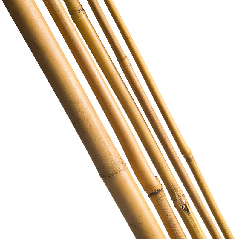5 NATURAL QUALITY BAMBOO STAKES - H120 X Ø10-12MM CIS