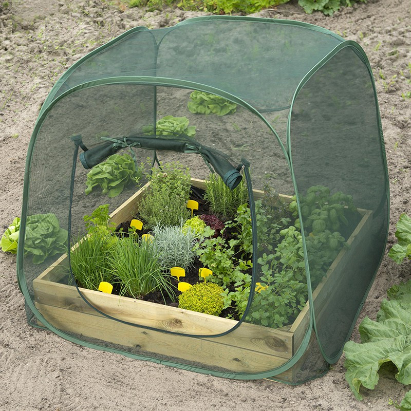 INSECT PROTECTION GREENHOUSE FOR YOUR VEGETABLE GARDEN SQUARE POP-UP H100X100X100CM CIS