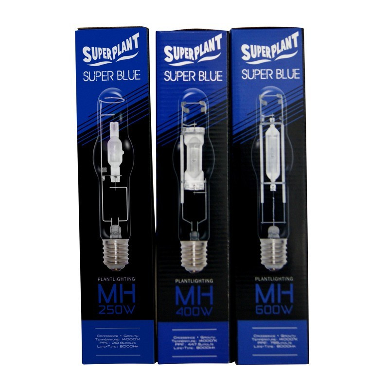 MH-Glühbirne - Super Blue 600W - Superplant, Metallhalidlampe , Sockel E40 , Wachstum und Ende der Blütezeit 