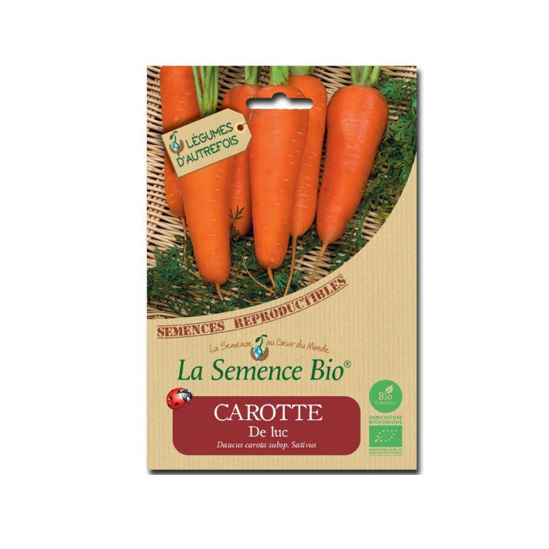 Graines Bio - Luc carrot - Organic seed