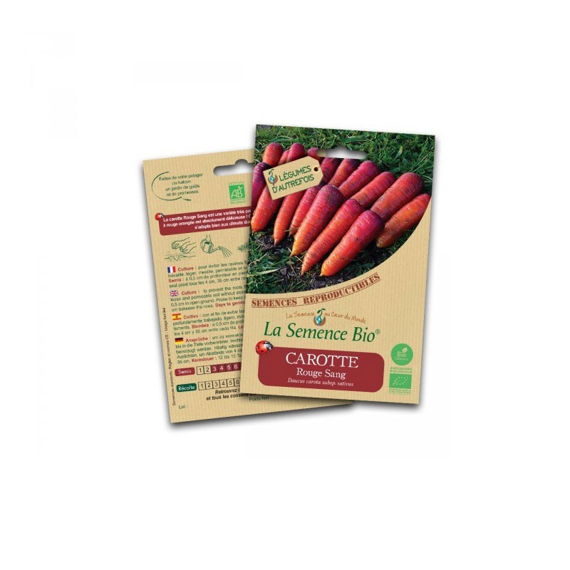 Graines Bio - Blood red carrot - Organic seed