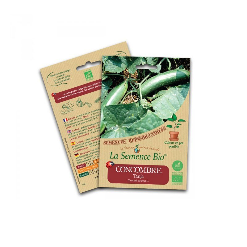 Graines Bio - Cucumber tanja - Organic seed