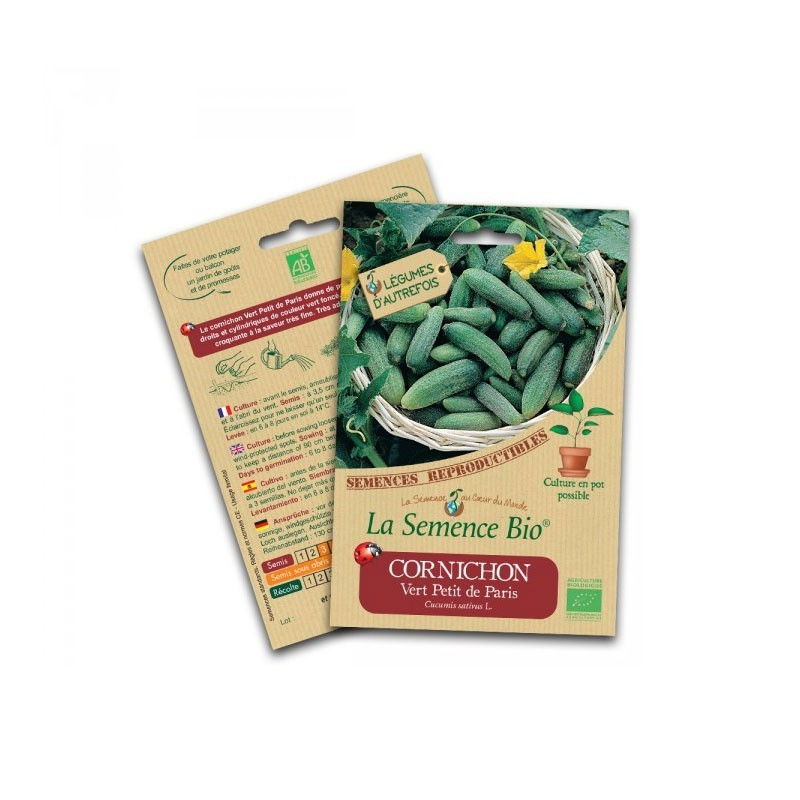 Bio zaden - Kleine groene augurk - Bio zaad