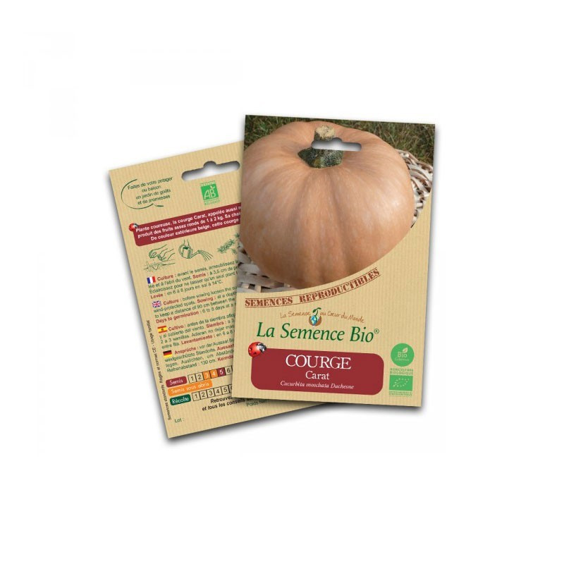 Graines Bio - Carat squash - Organic Seed