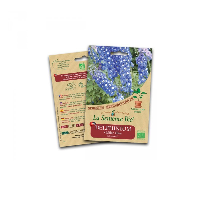 Sementes orgânicas - Delphinium galilee blue - Sementes orgânicas