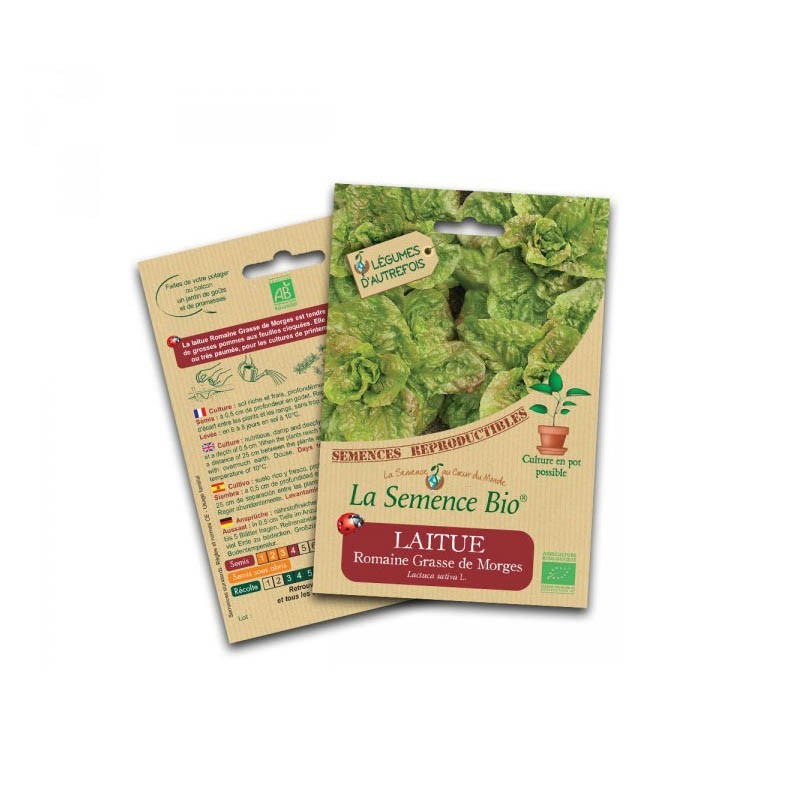 Graines Bio - Lettuce romaine fat of morge - Organic Seed