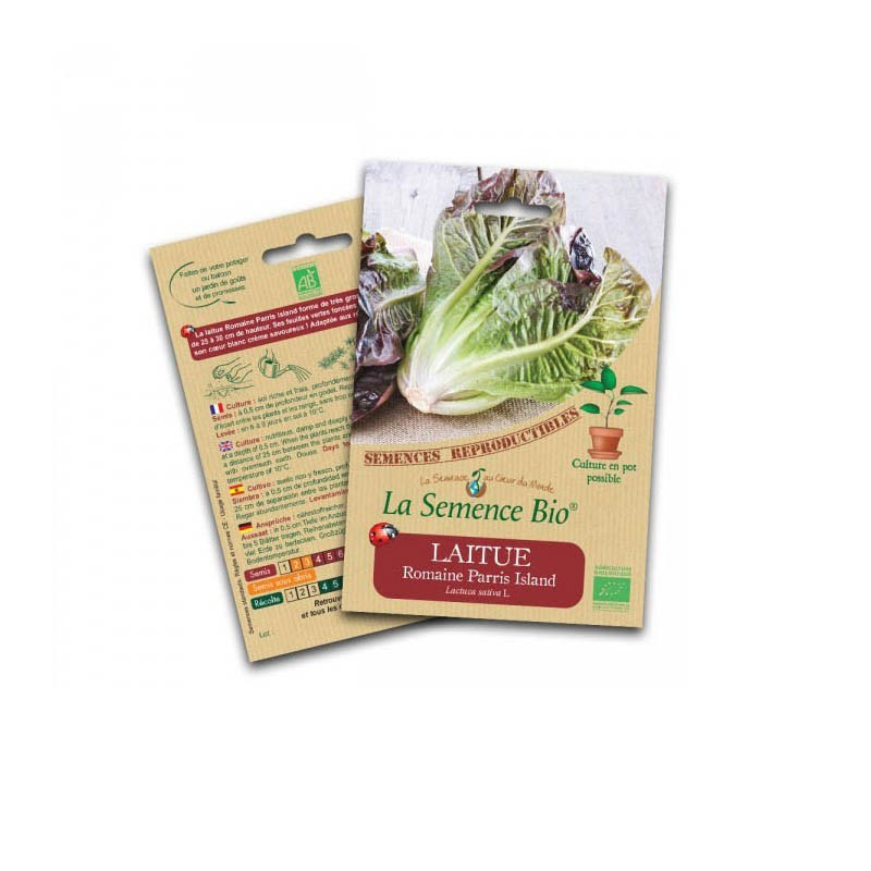 Graines Bio - Romaine lettuce parris island - Organic seed