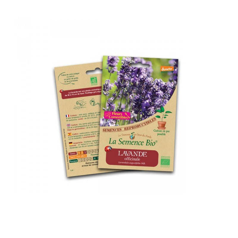 Biologische zaden - Lavendel officinalis - Biologisch zaad