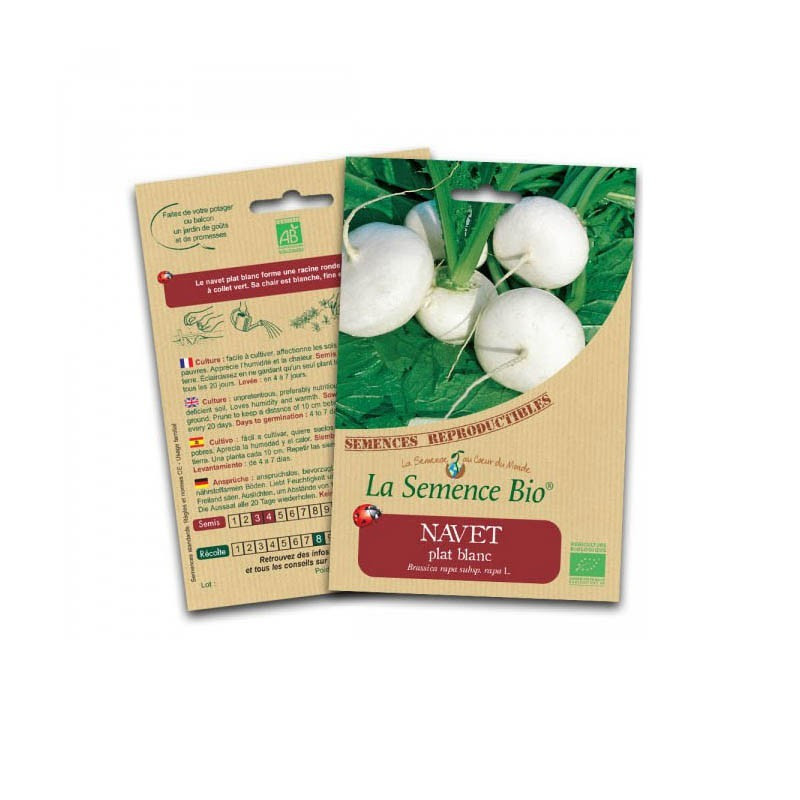 Graines Bio - White flat turnip - Organic Seed