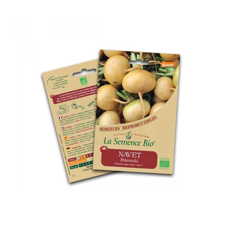 Graines Bio - Turnip petrowski - Organic seed