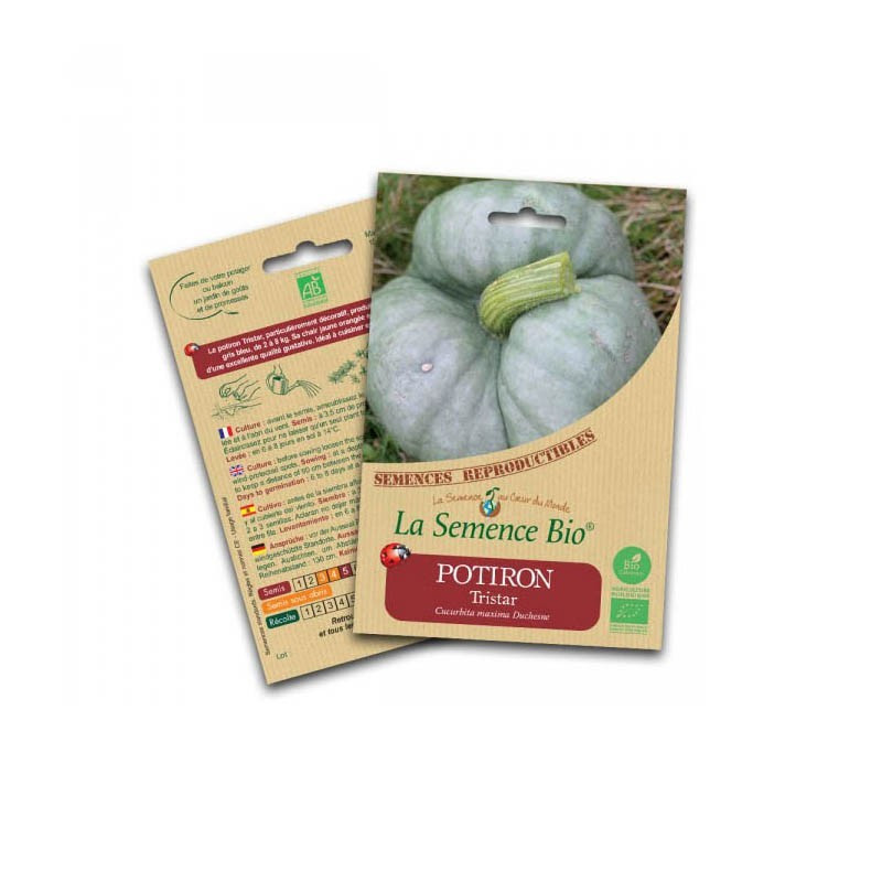 Graines Bio - Tristar pumpkin - Organic seed