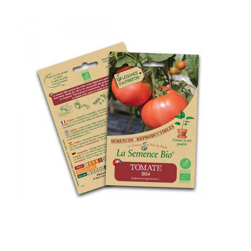 Graines Bio - Tomato 1884 - Organic Seed