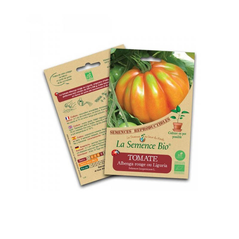 Organic Seeds - Red Albenga Tomato or Liguria - Organic Seed