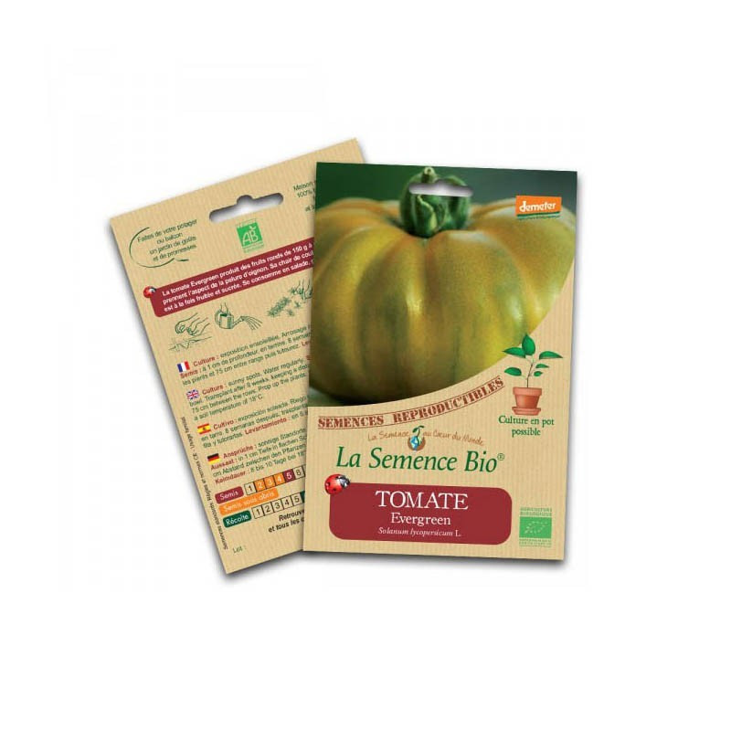 Bio zaden - Groenblijvende tomaat - Bio zaad