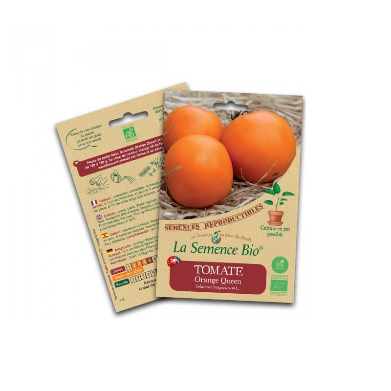 Sementes orgânicas - Tomate rainha laranja - Sementes orgânicas