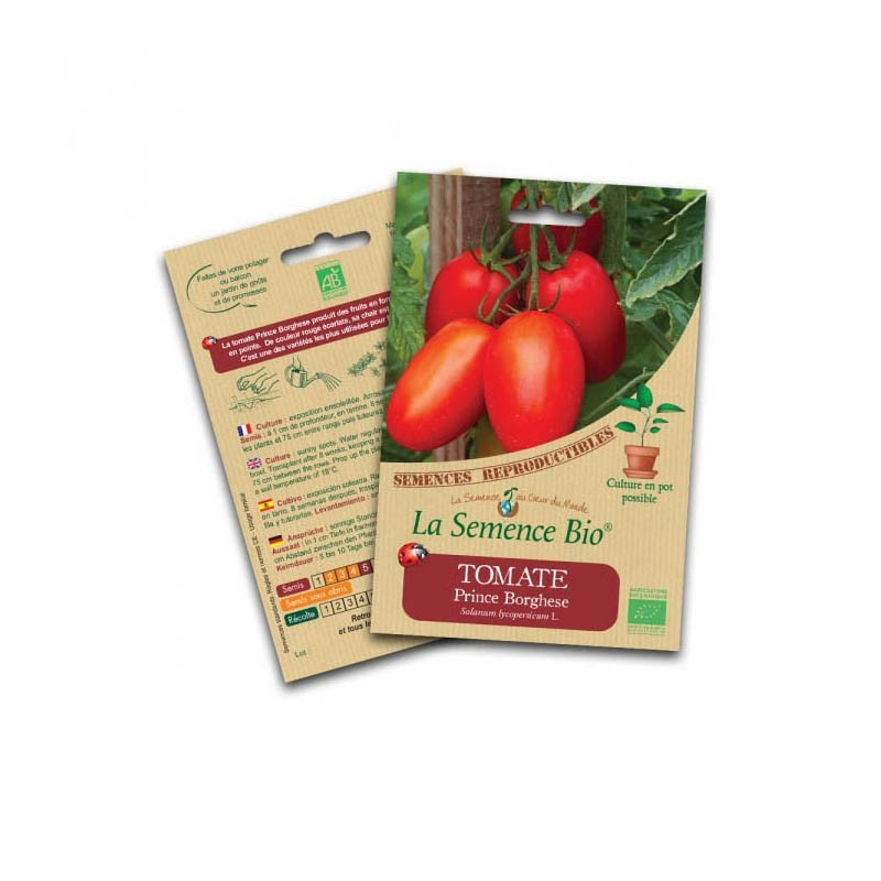 Sementes orgânicas - Príncipe Borghese tomate - Sementes orgânicas