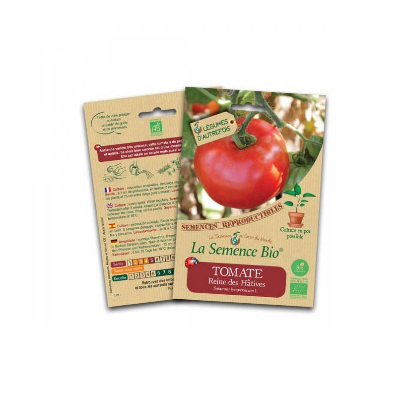 Bio zaden - Koningin van de Hatives tomaat - Bio zaad