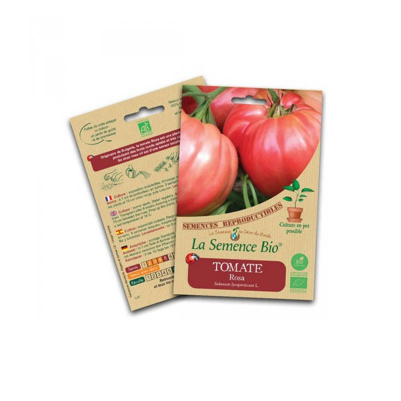 Graines Bio - Tomate rosa - Semence biologique