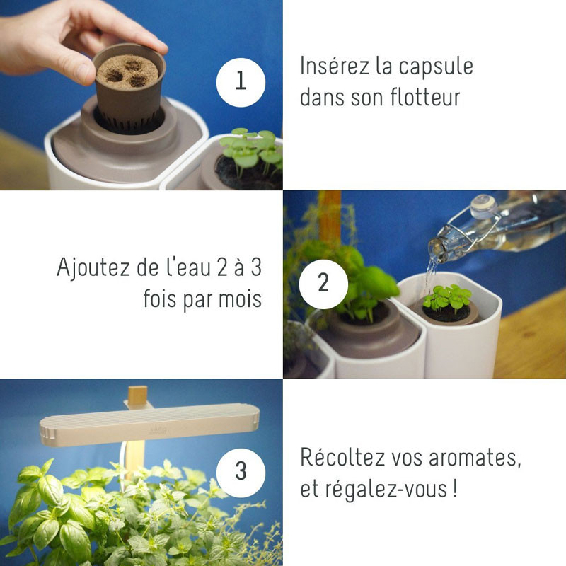 https://static01.indoordiscount.com/27353/mini-jardin-dinterieur-lilo-basilic-menthe-ciboulette-pret-a-pousser.jpg