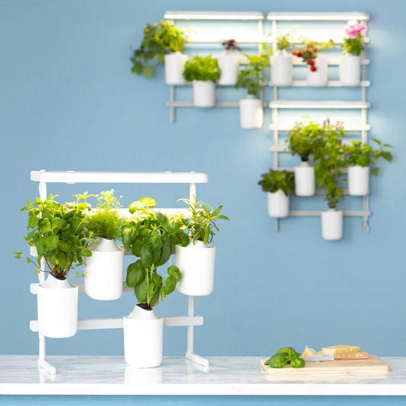 Erweiterbarer Mini-Gemüsegarten Modulo (Basilikum, Minze, Schnittlauch, Mini-Tomaten) - Prêt à pousser