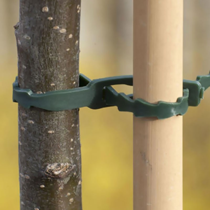 Universal green PE staking link 23 cm - 30 links - Nature