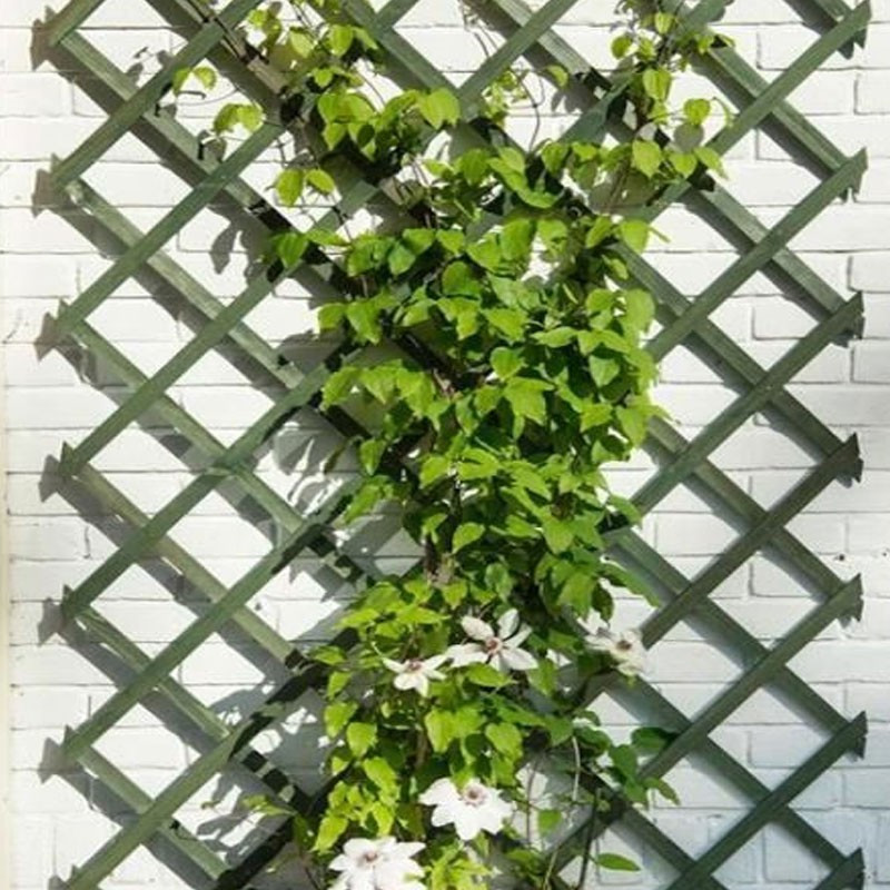 Stretchable green natural wood trellis - 1x3m - Nature