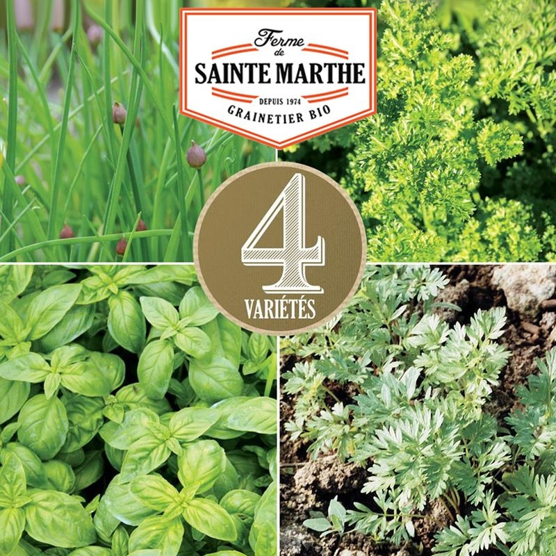  <x>La ferme Sainte Marthe</x> - 600 Samen Aromatische Mischung - Schnittlauch, Petersilie, Basilikum, Kerbel