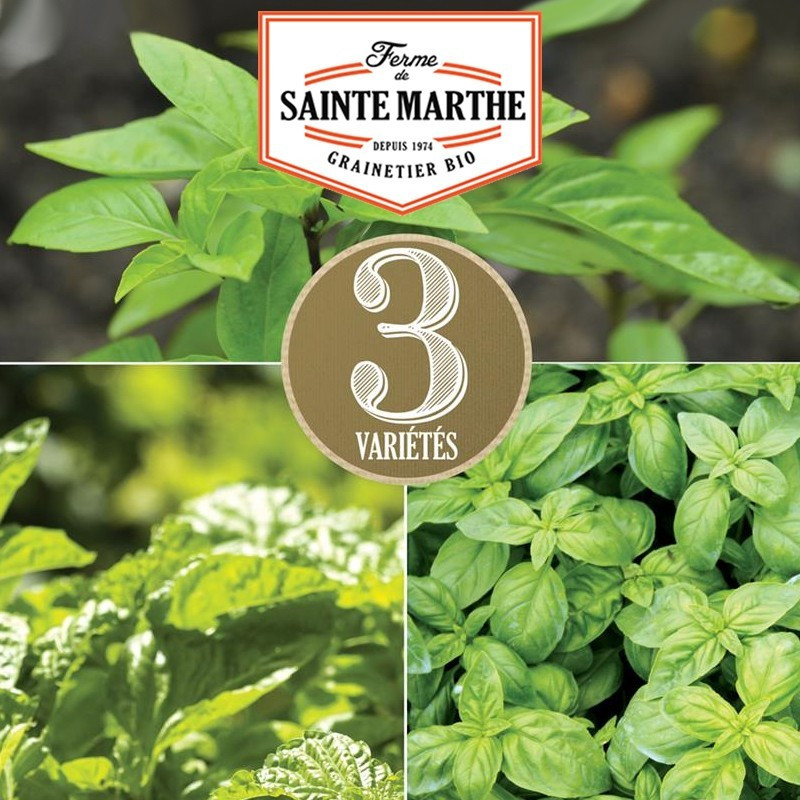  <x>La ferme Sainte Marthe</x> - 200 Basil seeds in mixture