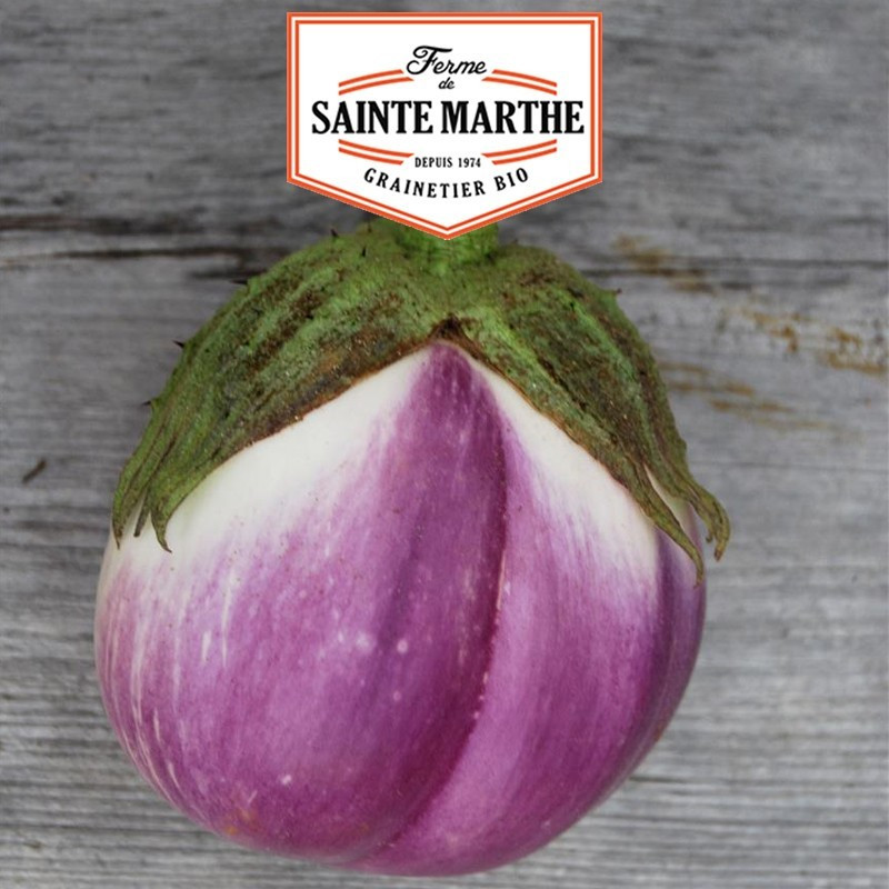 La ferme Sainte Marthe - 50 sementes Aubergine Violetta di Firenze