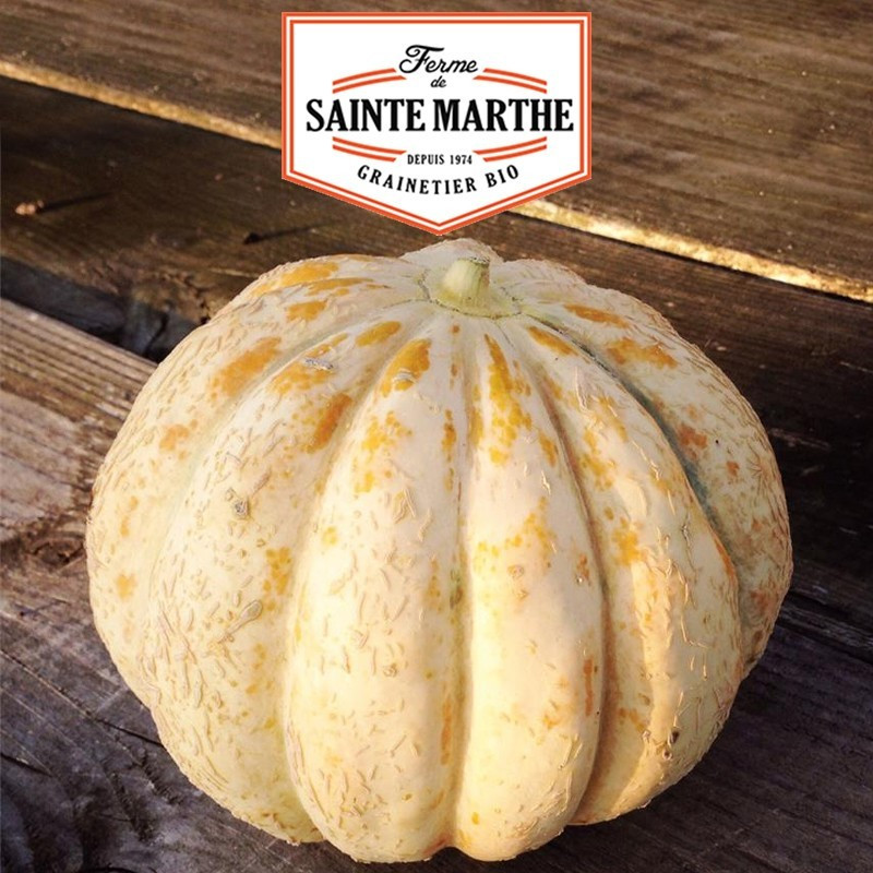  <x>La ferme Sainte Marthe</x> - 15 seeds Melon Table Delight