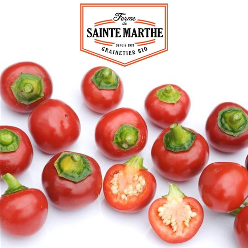  <x>La ferme Sainte Marthe</x> - 30 seeds Red Cherry Pepper Small