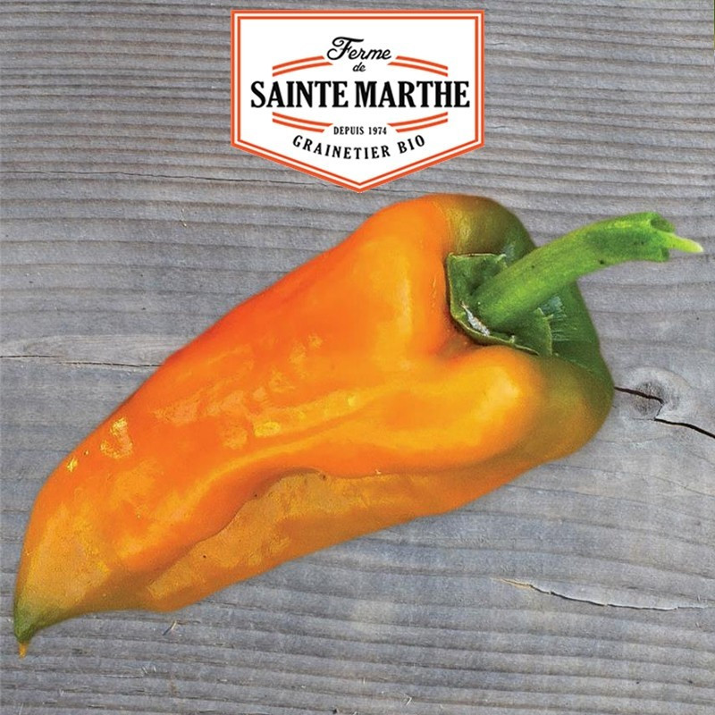 La ferme Sainte Marthe - 30 sementes Poivron petit Marseillais