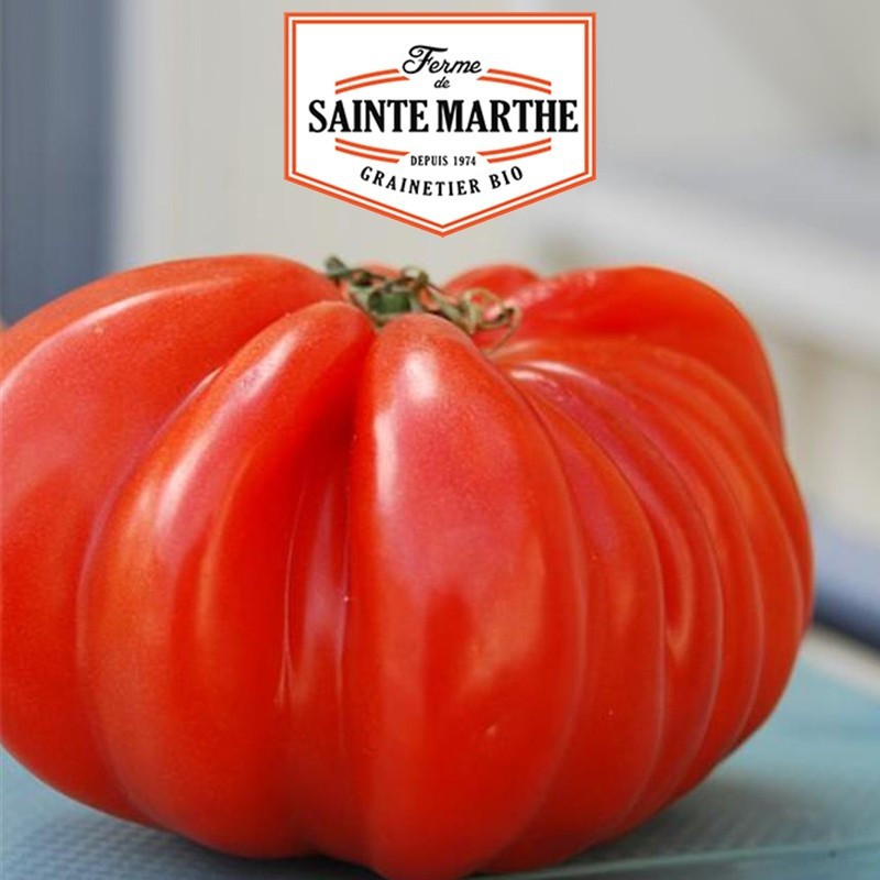 La ferme Sainte Marthe - 50 sementes Tomate Beefsteak