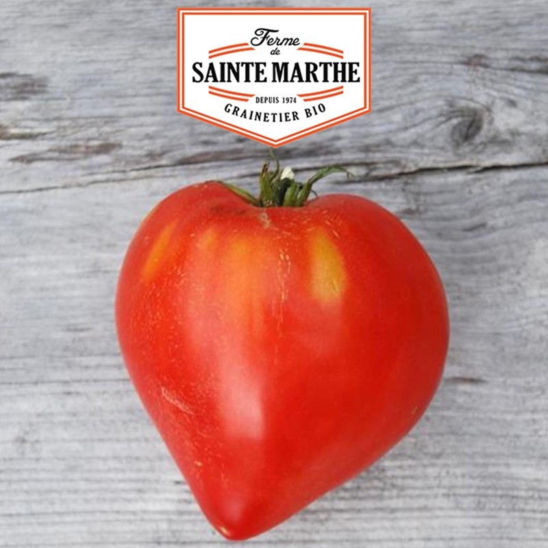La ferme Sainte Marthe - 50 sementes Tomate Coeur