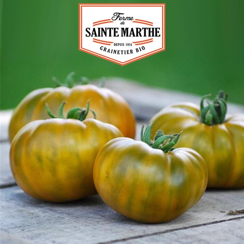 La ferme Sainte Marthe - 50 sementes de tomate Evergreen