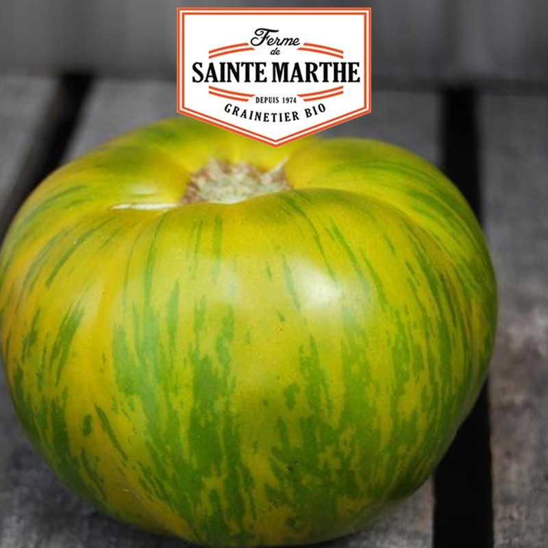  <x>La ferme Sainte Marthe</x> - 50 semi di pomodoro Zebra verde
