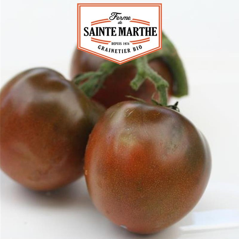La ferme Sainte Marthe - 50 sementes de Tomate Preto Russo