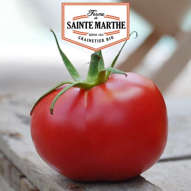  <x>La ferme Sainte Marthe</x> - 50 Samen Rosa Tomate aus Bern