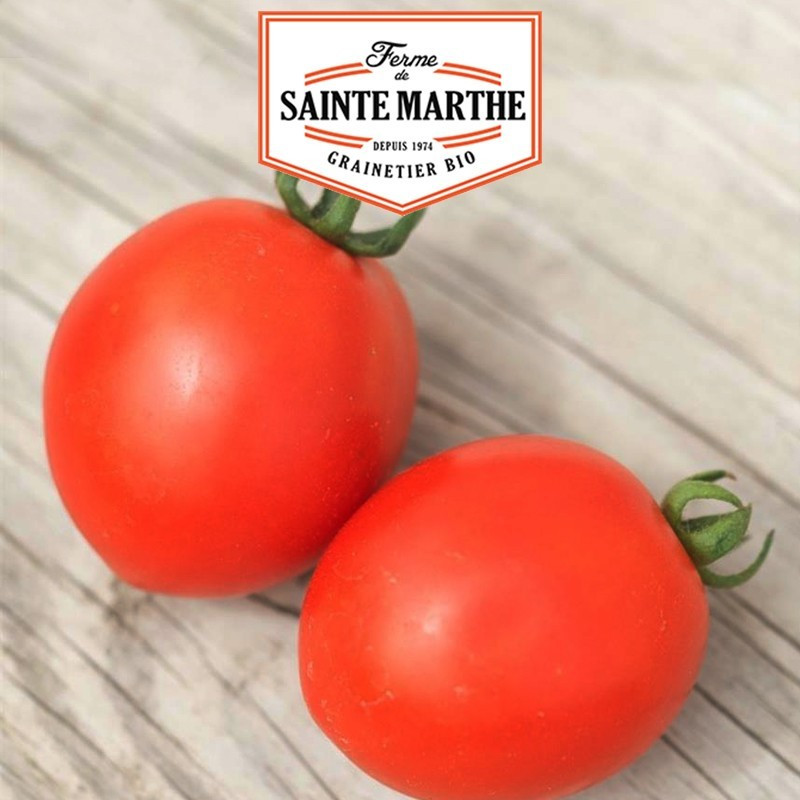 La ferme Sainte Marthe - 50 sementes de tomate siberiano