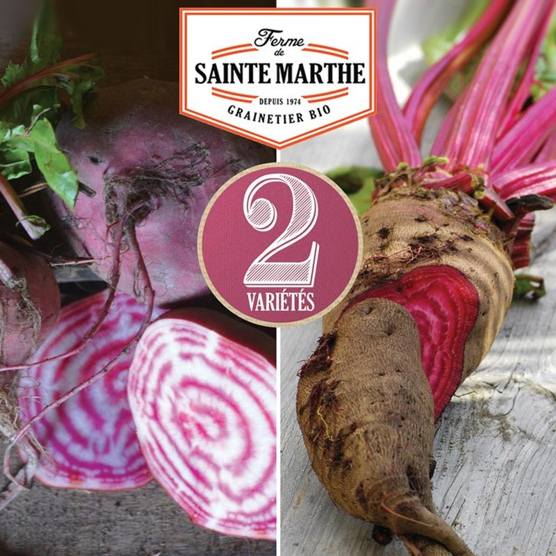 La ferme Sainte Marthe - 150 sementes Mistura de beterraba: Crapaudine, Chioggia