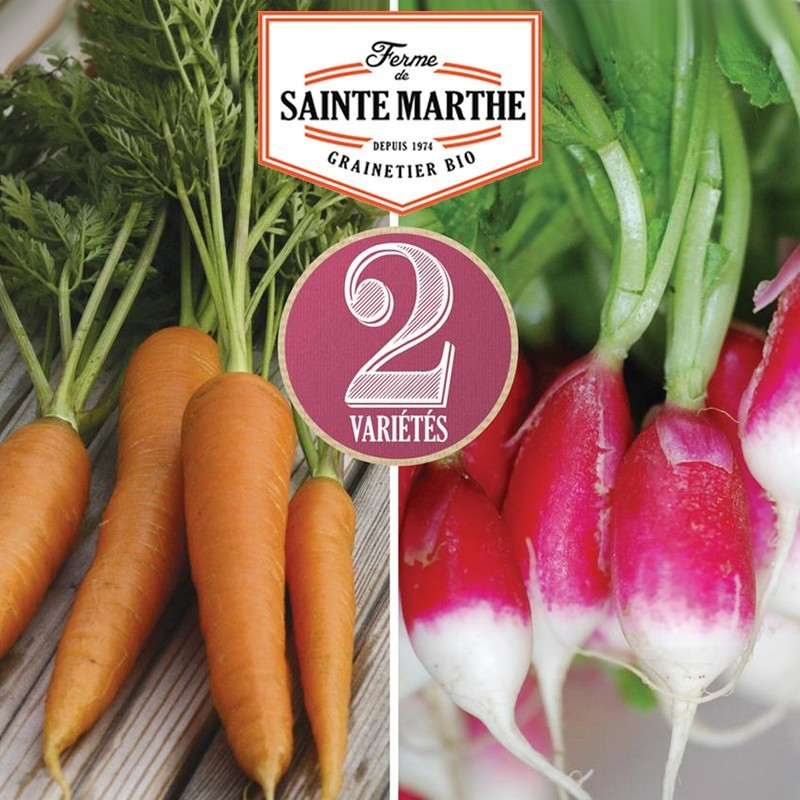 Sainte Marthe - 1 500 zaden Wortel en Radijs: Nantaise 2 - 18 dagen oud