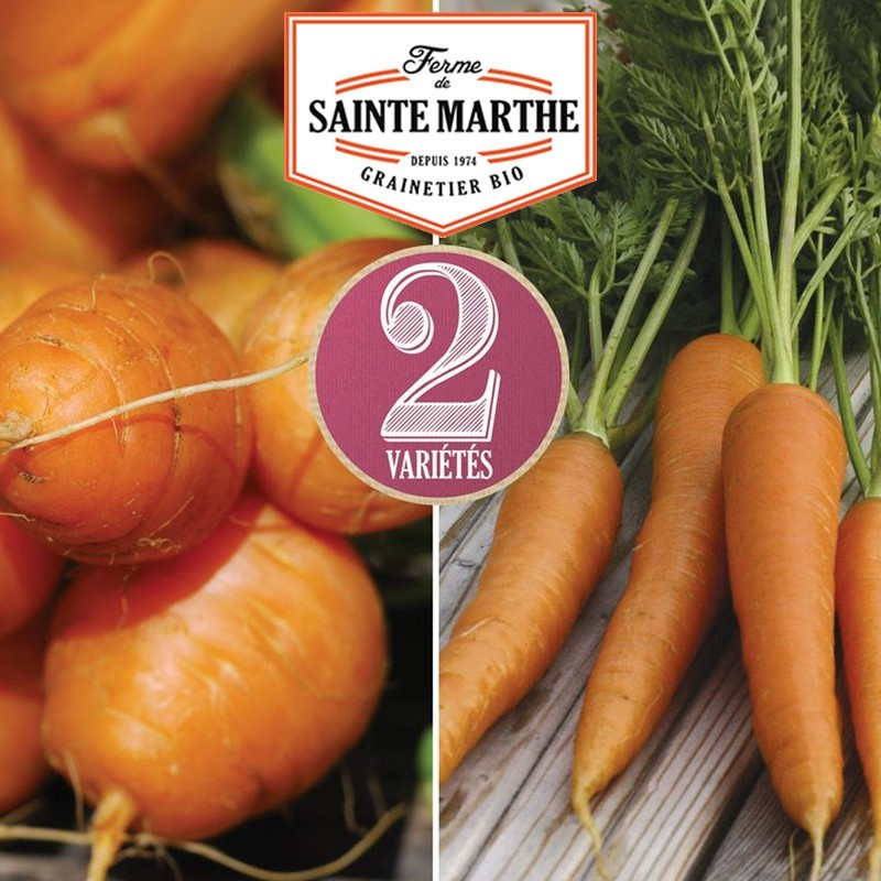 <x>La ferme Sainte Marthe</x> - 1.500 zaden Wortelenmix: Marché de Paris 3, Nantaise 2