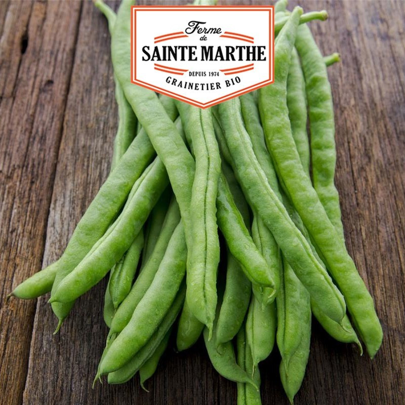  <x>La ferme Sainte Marthe</x> - 10 grams Neckarkonigin Mango Beans