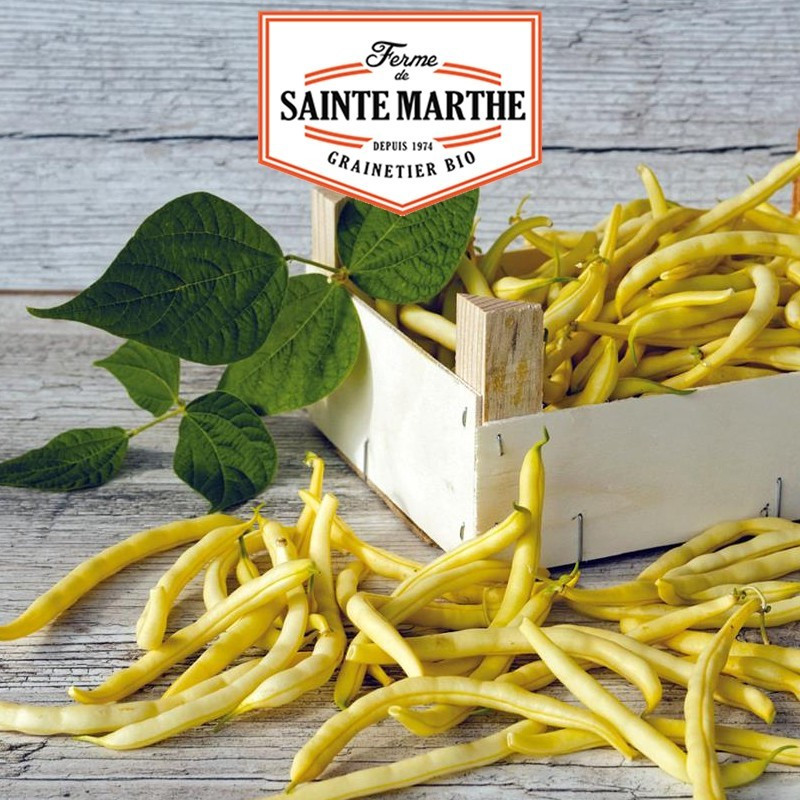 La ferme Sainte Marthe - Feijão Neckargold Mangetout de 80 gramas